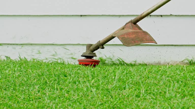 Mason, MI Tree Services Company